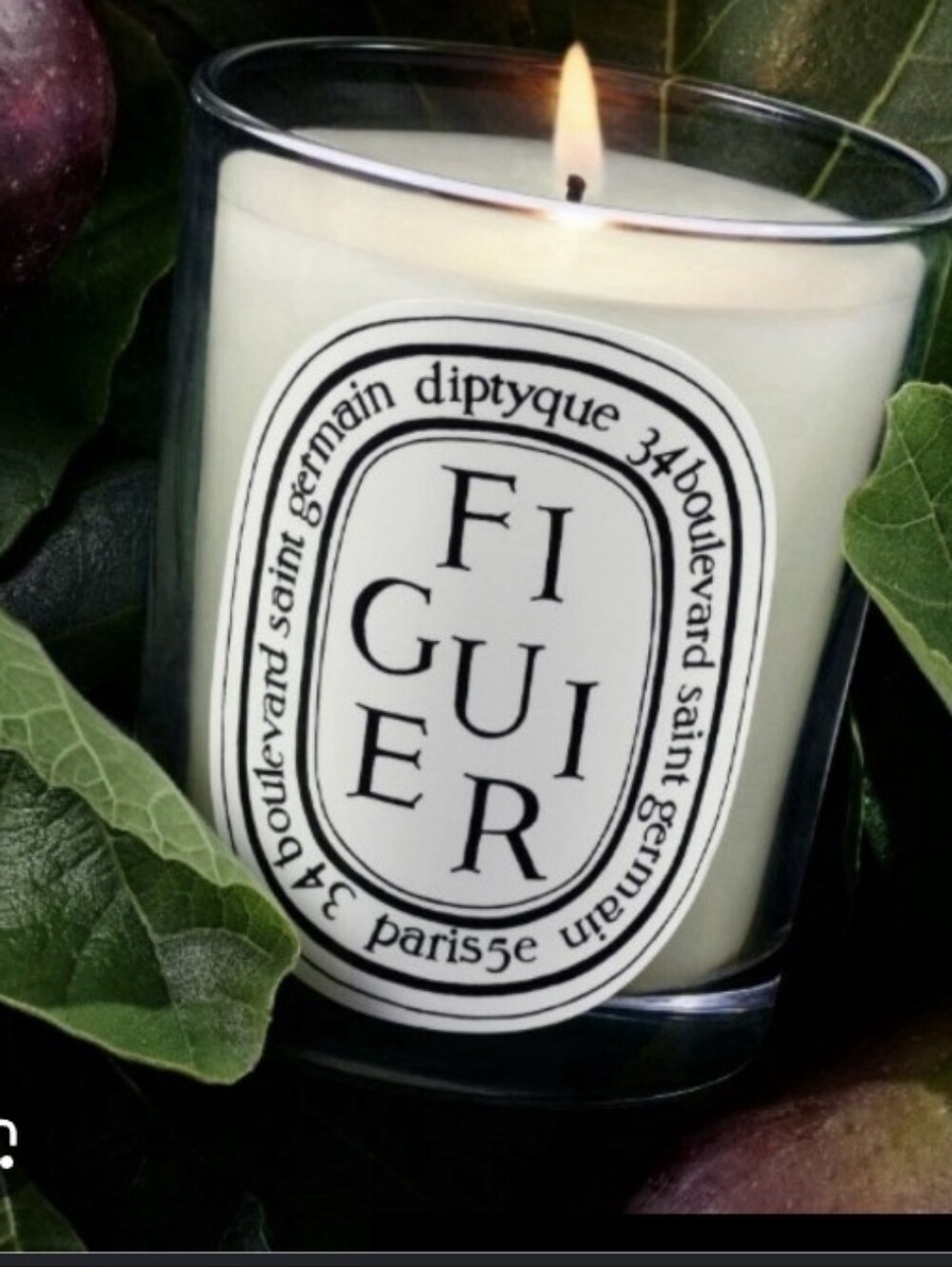 Diptyque Fig Tree Candle
